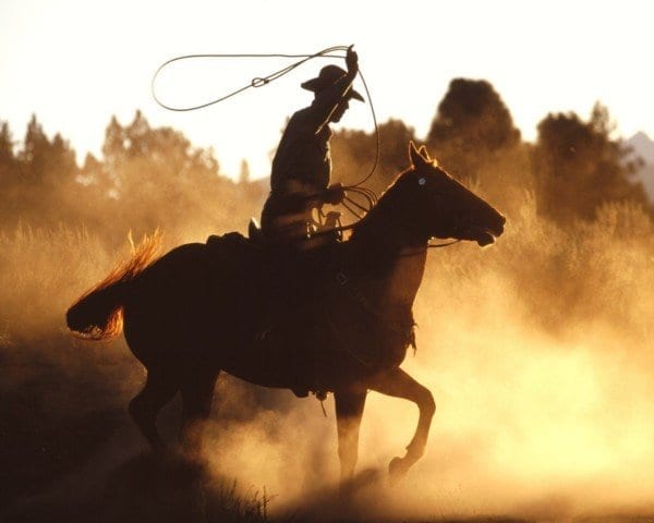 mythical-cowboy-entrepreneur