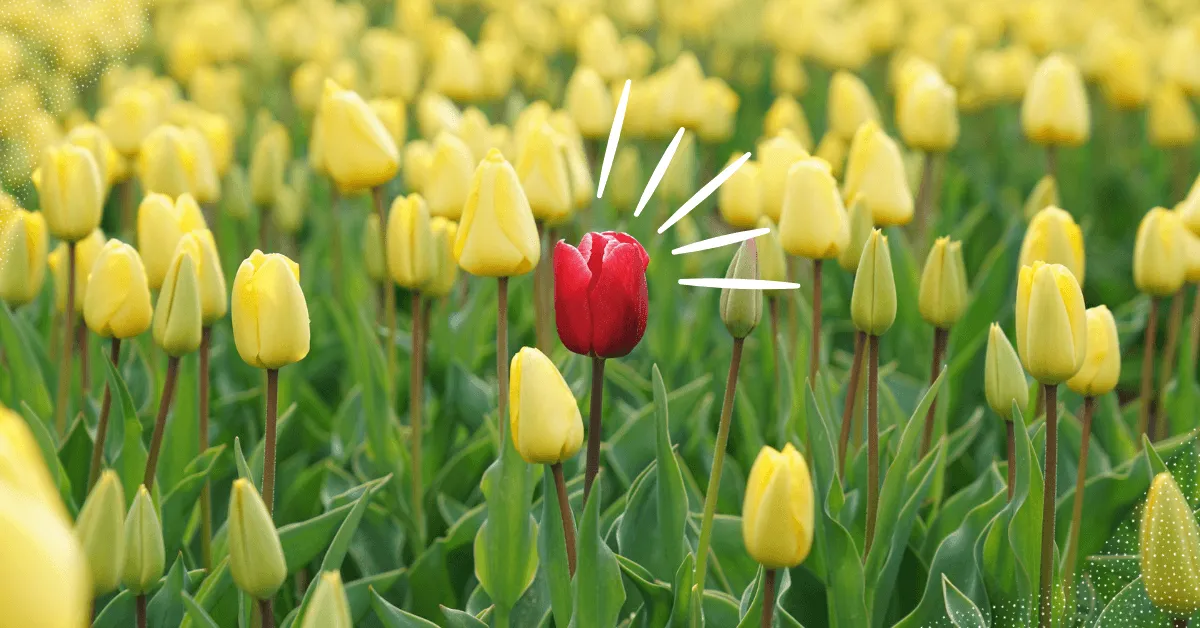 Find Your Brand’s Unique Selling Proposition (With 7 Ecommerce Examples!)