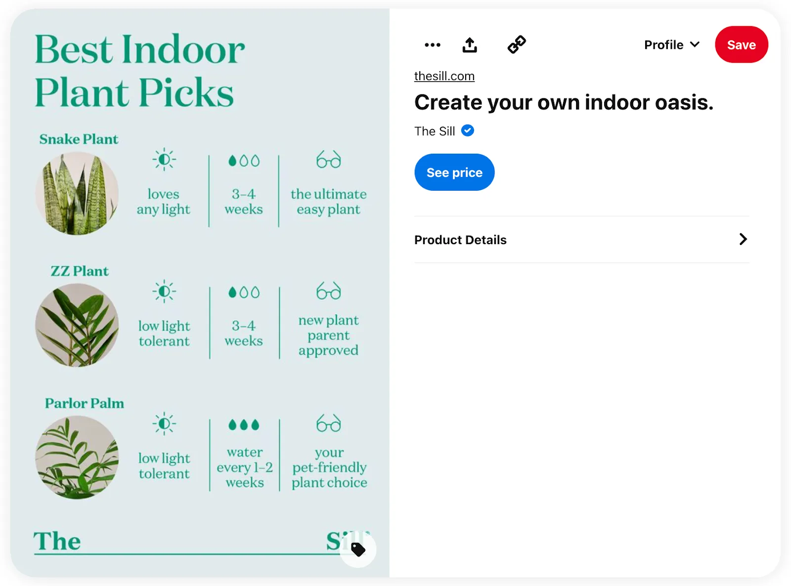 Pinterest The Sill account