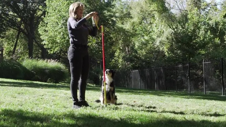 Tether Tug hero