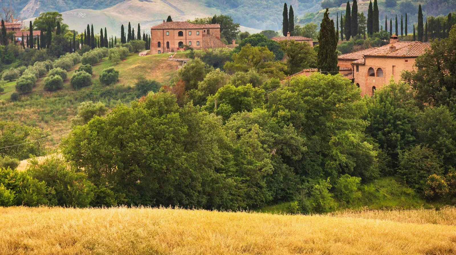 Sole Toscana Skincare hero