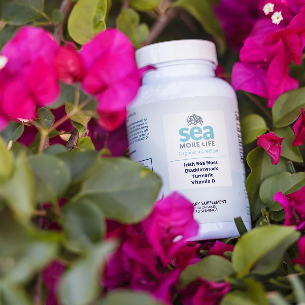 Sea More Life product