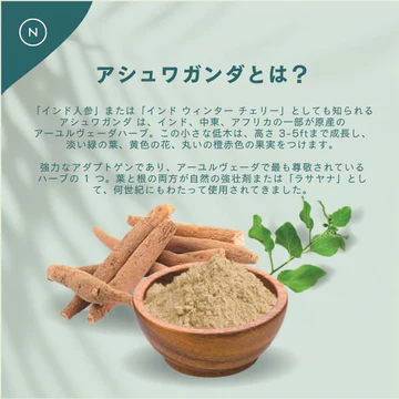 Naturecan Fitness JP product