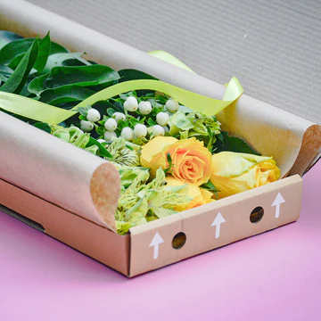 Letterbuds product
