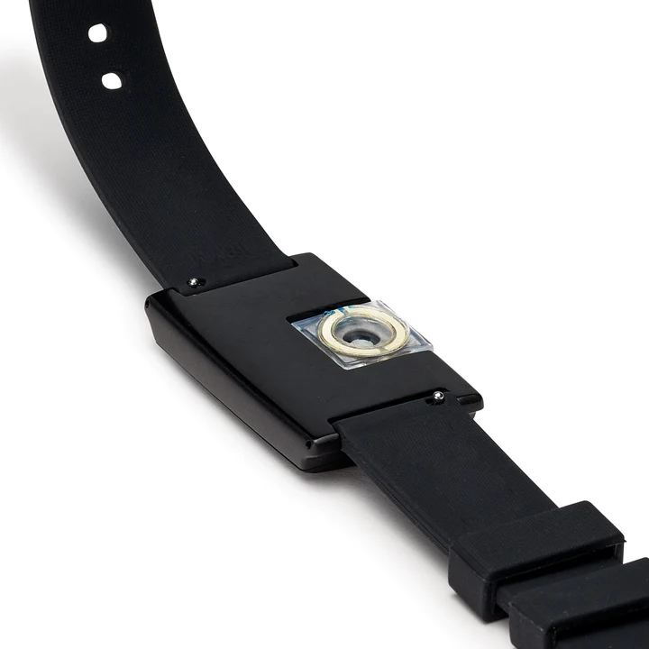 ION Wearable product