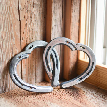 Horseshoenames product