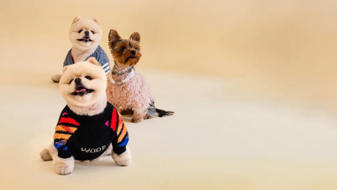 Furbaby Couture hero