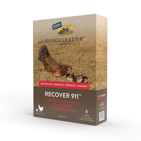 FlockLeader product