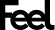 Feel Holdings Limited logo