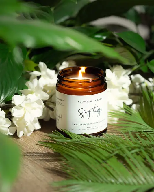 Companion Candles product