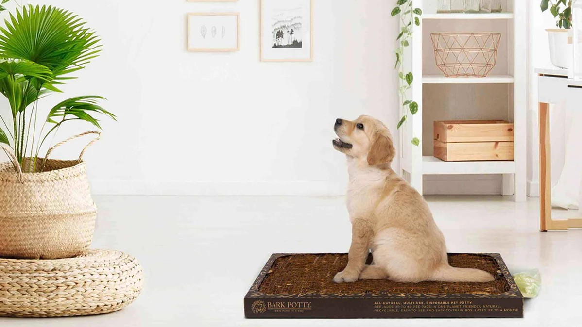 Bark Potty hero