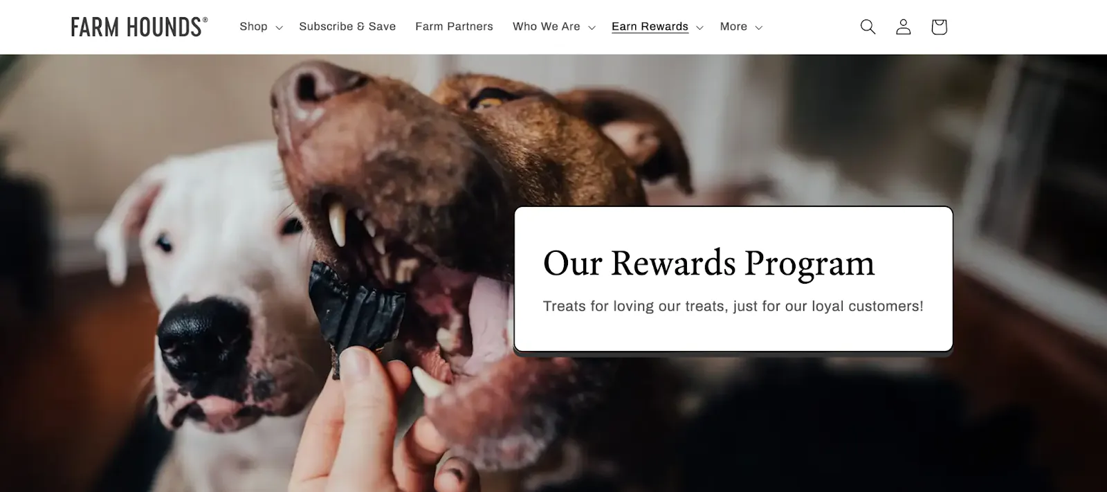 Farm Hounds loyalty programs